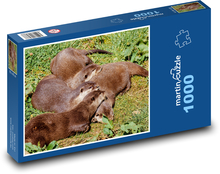 Spiace vydry - zvieratá, odpočívať Puzzle 1000 dielikov - 60 x 46 cm 