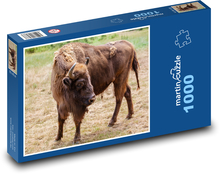 Bawół - zwierzę, ssak Puzzle 1000 elementów - 60x46 cm