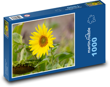 Žltá slnečnica - kvet, rastlina Puzzle 1000 dielikov - 60 x 46 cm 
