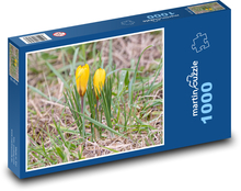 Yellow crocuses - plants, flowers Puzzle 1000 pieces - 60 x 46 cm 