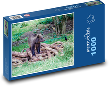 Braunbär - Wald, Tier Puzzle 1000 Teile - 60 x 46 cm