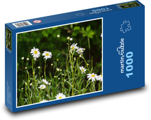 Dandelion - flower, meadow flower Puzzle 1000 pieces - 60 x 46 cm
