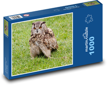 Noční sova - dravec, lovec Puzzle 1000 dílků - 60 x 46 cm