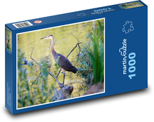 Modrá volavka - rákosí, voda Puzzle 1000 dílků - 60 x 46 cm
