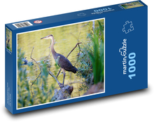 Blaureiher - Schilf, Wasser Puzzle 1000 Teile - 60 x 46 cm