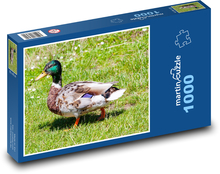 Stockente - männliche Ente, Ente Puzzle 1000 Teile - 60 x 46 cm