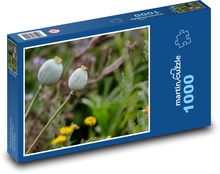 Mohnköpfe - Pflanze, Wiese Puzzle 1000 Teile - 60 x 46 cm
