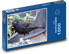 Kos - černý pták, zvíře Puzzle 1000 dílků - 60 x 46 cm