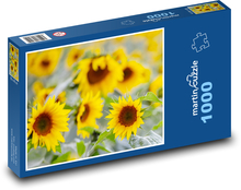 Field of sunflowers - yellow flowers, field Puzzle 1000 pieces - 60 x 46 cm 