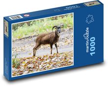 Horned goat - farm, animal Puzzle 1000 pieces - 60 x 46 cm 