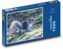 Veverička - roztomilá, divoká Puzzle 1000 dielikov - 60 x 46 cm 