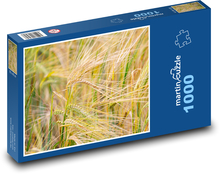 Pole pšenice - sklizeň, zemědělství  Puzzle 1000 dílků - 60 x 46 cm