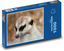 Surikata - sledování, zblízka Puzzle 1000 dílků - 60 x 46 cm