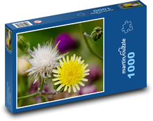 Žltý podbeľ - kvetina, rastlina Puzzle 1000 dielikov - 60 x 46 cm