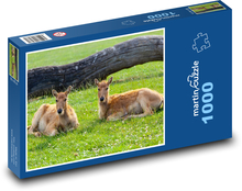 Jeleň - zviera, odpočívať Puzzle 1000 dielikov - 60 x 46 cm 