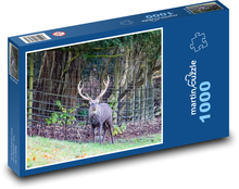 Divoký jelen - parohy, les Puzzle 1000 dílků - 60 x 46 cm