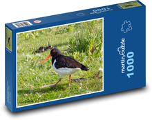 Ptak wodny - pomarańczowy dziób, pióra Puzzle 1000 elementów - 60x46 cm