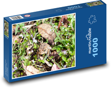 Žába v trávě - obojživelník, ropucha Puzzle 1000 dílků - 60 x 46 cm