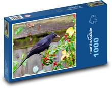 Blackbird - bird, beak Puzzle 1000 pieces - 60 x 46 cm 