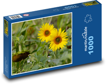Westliche Sonnenblume - gelbe Blume, Garten Puzzle 1000 Teile - 60 x 46 cm