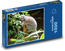 Lemur - animal, Madagascar Puzzle 1000 pieces - 60 x 46 cm 