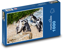 Tučniak okuliarový - vták, zviera Puzzle 1000 dielikov - 60 x 46 cm 