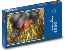 Parrot - rosette, bird Puzzle 1000 pieces - 60 x 46 cm 