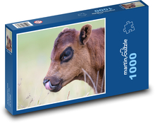 Kalb - Kuh, Rind Puzzle 1000 Teile - 60 x 46 cm