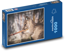 Kangaroo - young, Australia Puzzle 1000 pieces - 60 x 46 cm