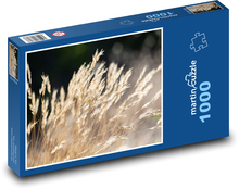 Divoká tráva - pole, západ slnka Puzzle 1000 dielikov - 60 x 46 cm 