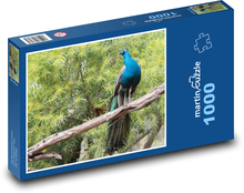 Peacock - bird, colorful feathers Puzzle 1000 pieces - 60 x 46 cm 