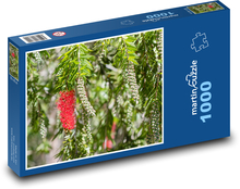 Grevilea - jedwabny dąb Puzzle 1000 elementów - 60x46 cm