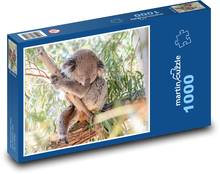 Koala na stromě - vačnatec, býložravec Puzzle 1000 dílků - 60 x 46 cm