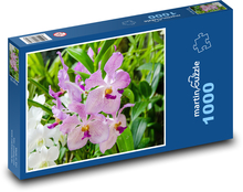 Růžová orchidej - květ, rostlina Puzzle 1000 dílků - 60 x 46 cm