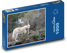 Dingo - dog, animal Puzzle 1000 pieces - 60 x 46 cm 