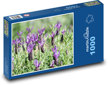 Lavender - flowers, spring Puzzle 1000 pieces - 60 x 46 cm 