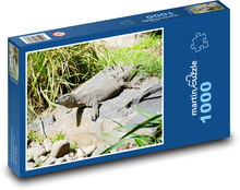 Varan - plaz, ještěrka Puzzle 1000 dílků - 60 x 46 cm