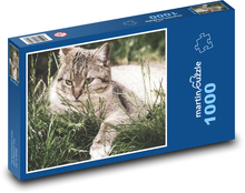 Cat - pet, whiskers Puzzle 1000 pieces - 60 x 46 cm