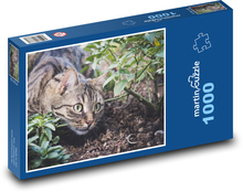 Tabby-Katze - lauert, Garten Puzzle 1000 Teile - 60 x 46 cm