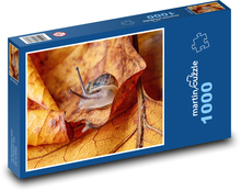 Hlemýžď - zahrada, podzim Puzzle 1000 dílků - 60 x 46 cm