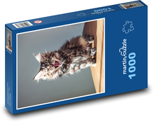 Mačka domáca - mačiatko, rev Puzzle 1000 dielikov - 60 x 46 cm 