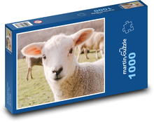 Ovce - hospodárske zvieratá, jahňa Puzzle 1000 dielikov - 60 x 46 cm 