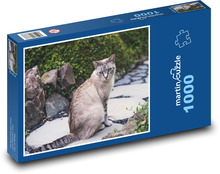 Siamská mačka - záhrada, vonku Puzzle 1000 dielikov - 60 x 46 cm 