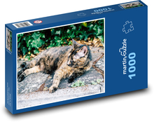 Cętkowany kot - pieszczoch, odpoczywa Puzzle 1000 elementów - 60x46 cm