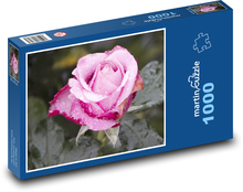 Różowa róża - kwiat, ogród Puzzle 1000 elementów - 60x46 cm