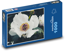 Pivonka biela - okvetné lístky, kvet Puzzle 1000 dielikov - 60 x 46 cm 
