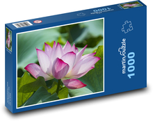 Leknín - růžový květ, květina Puzzle 1000 dílků - 60 x 46 cm