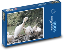 Pelikány - vtáctvo, rybník Puzzle 1000 dielikov - 60 x 46 cm 