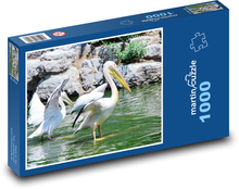 Bílí pelikáni - ptáci, zvířata Puzzle 1000 dílků - 60 x 46 cm