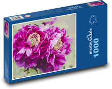 Lila Pfingstrose - Blume, Garten Puzzle 1000 Teile - 60 x 46 cm